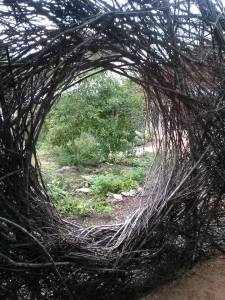 Inside looking out or outside looking in? At the Botanical Gardens of Chapel Hill, NC