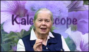 Telling It Like It Is