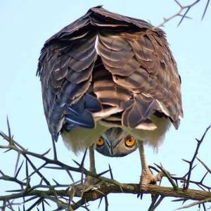 OOPS! Didn't know you were under me!