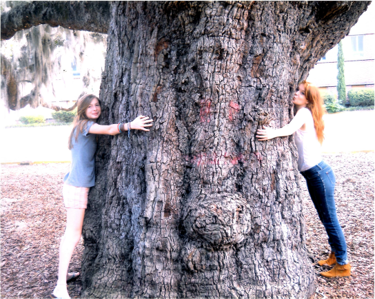 tree-huggers